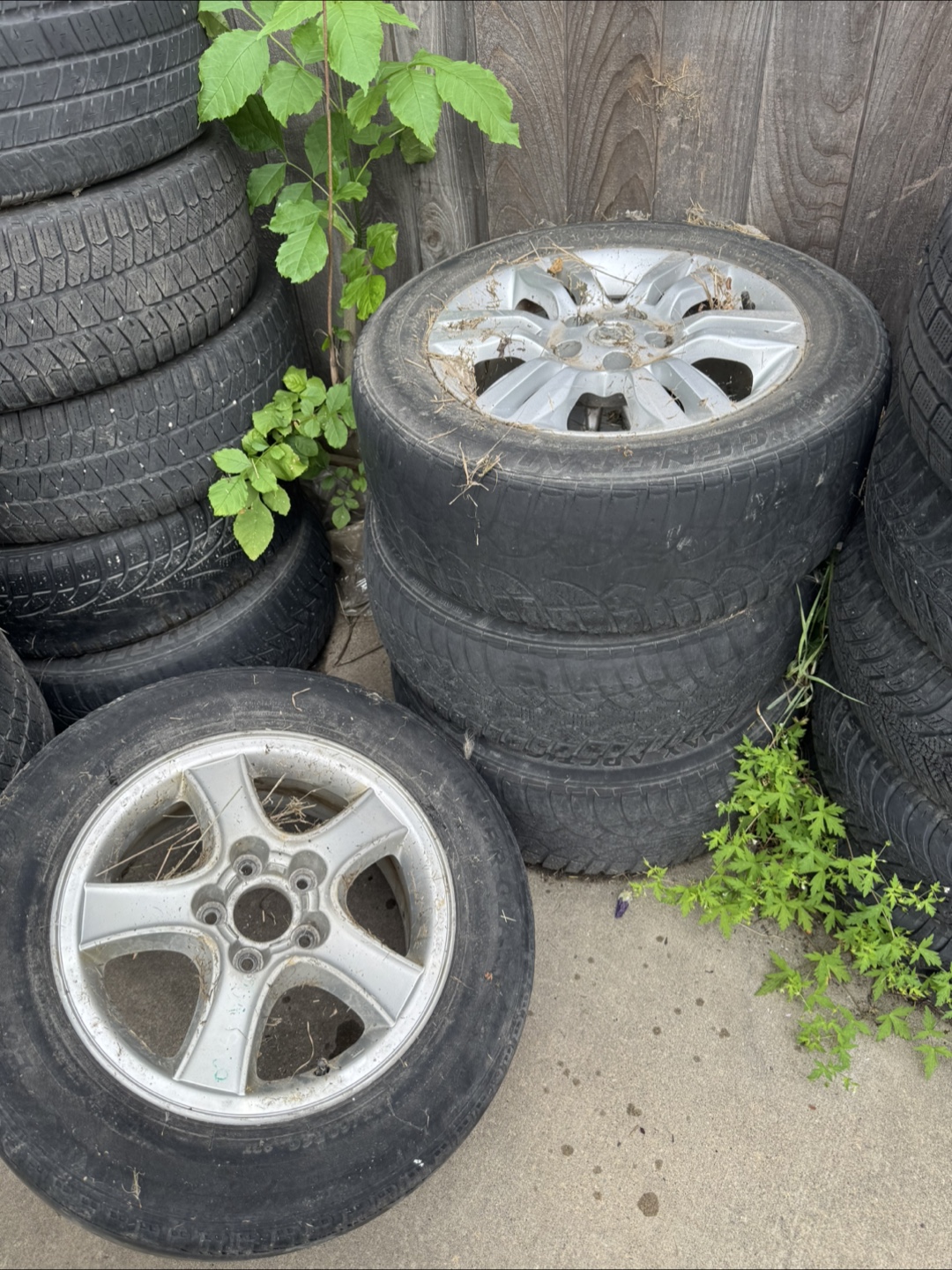 16 inches rims