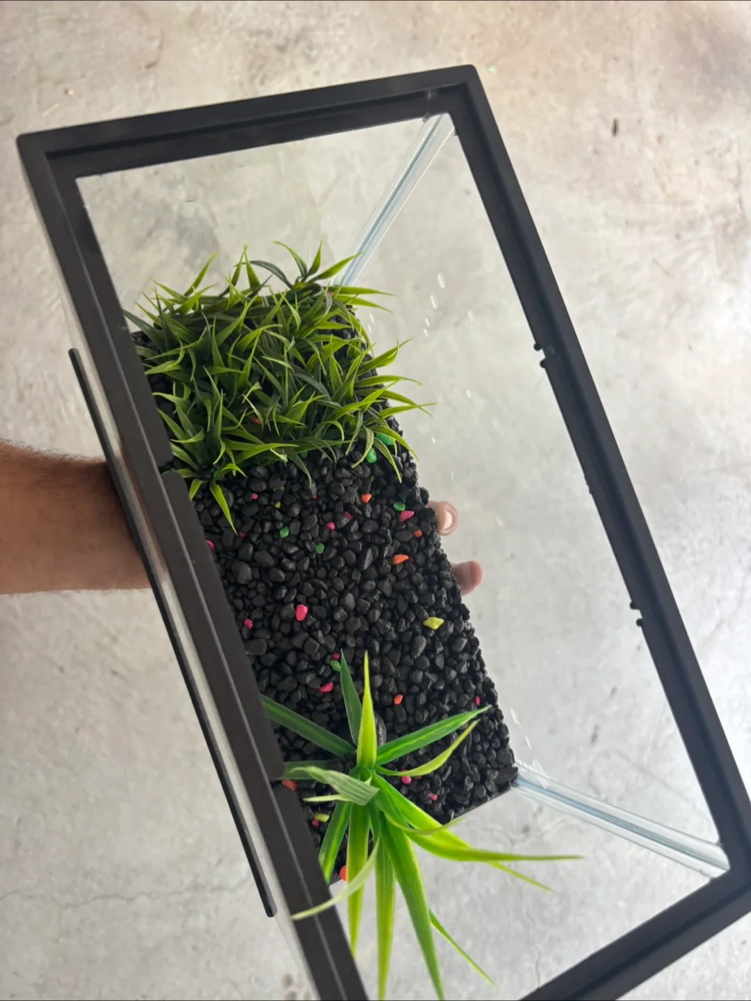 Small Fish Tank with Decor image indicator(2)