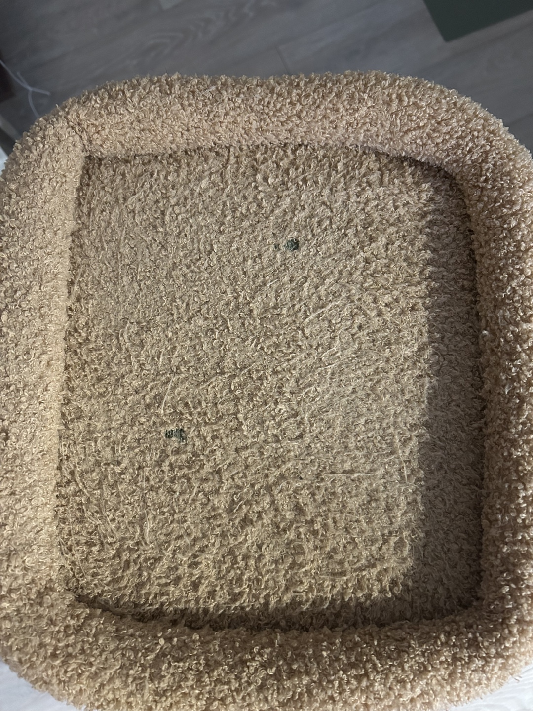 Used Cat Tree with Scratching Post - FREE - photo 3