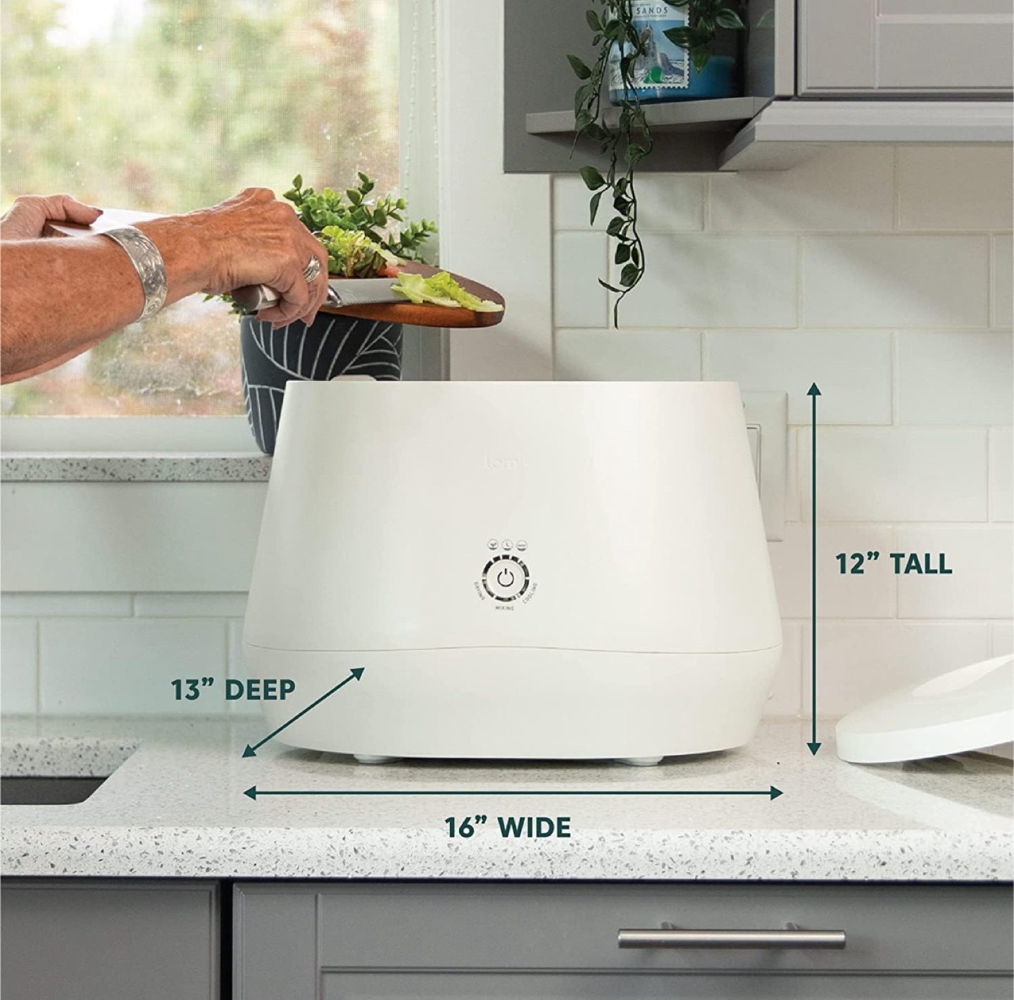 Lomi Food Waste Composter