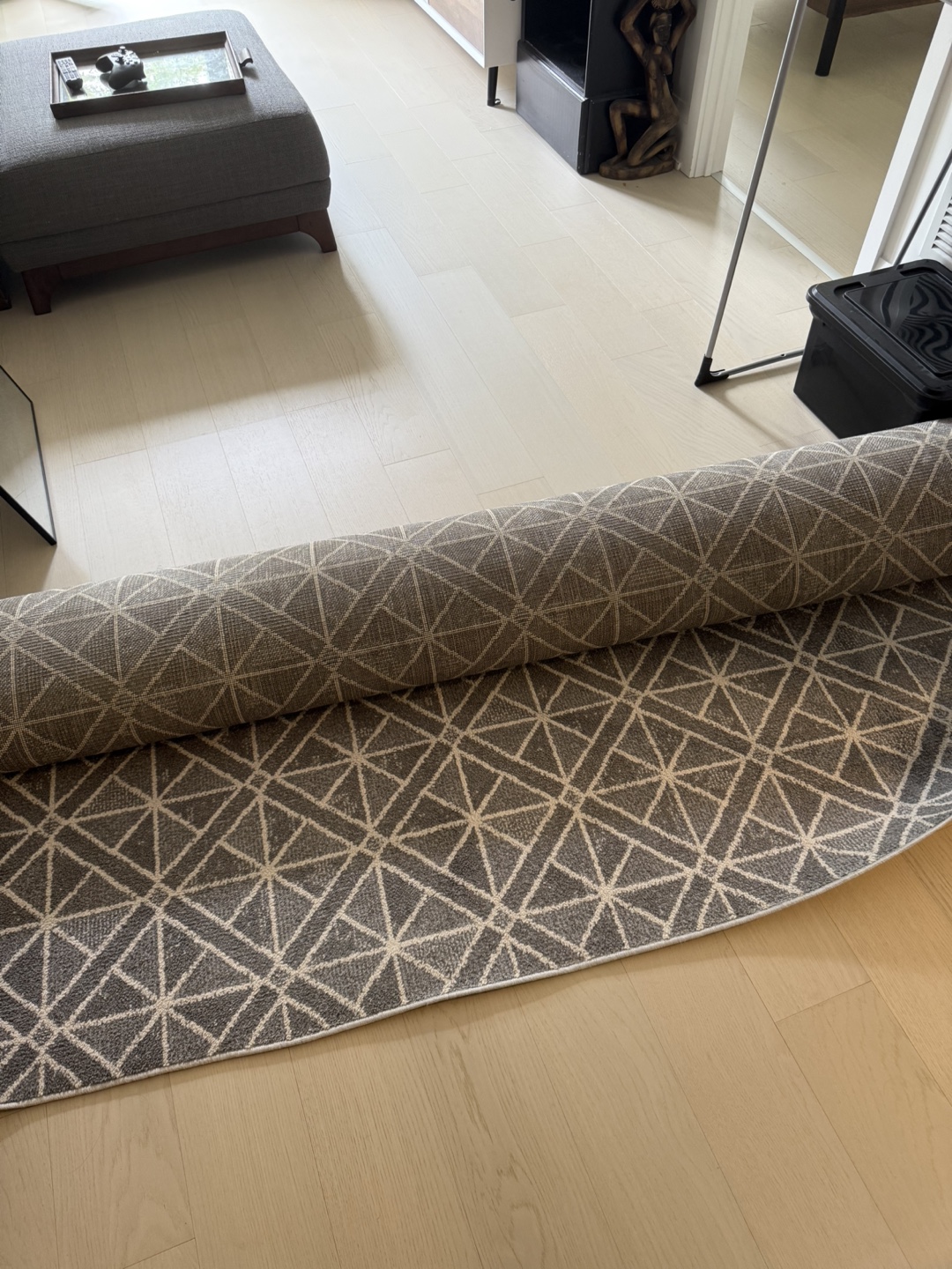 Geometric Patterned Area Rug
