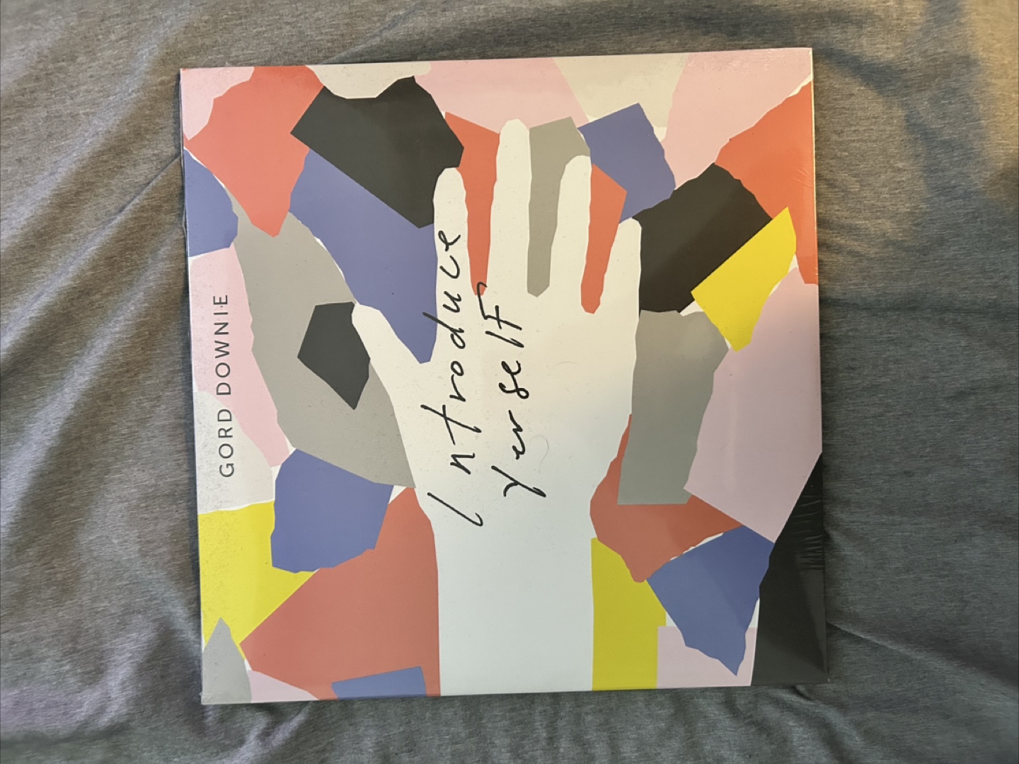 Gord Downie - Introduce Yerself Vinyl Record