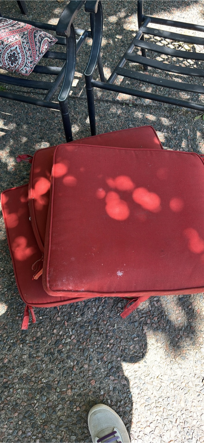 Patio Chair & Cushions - photo 3