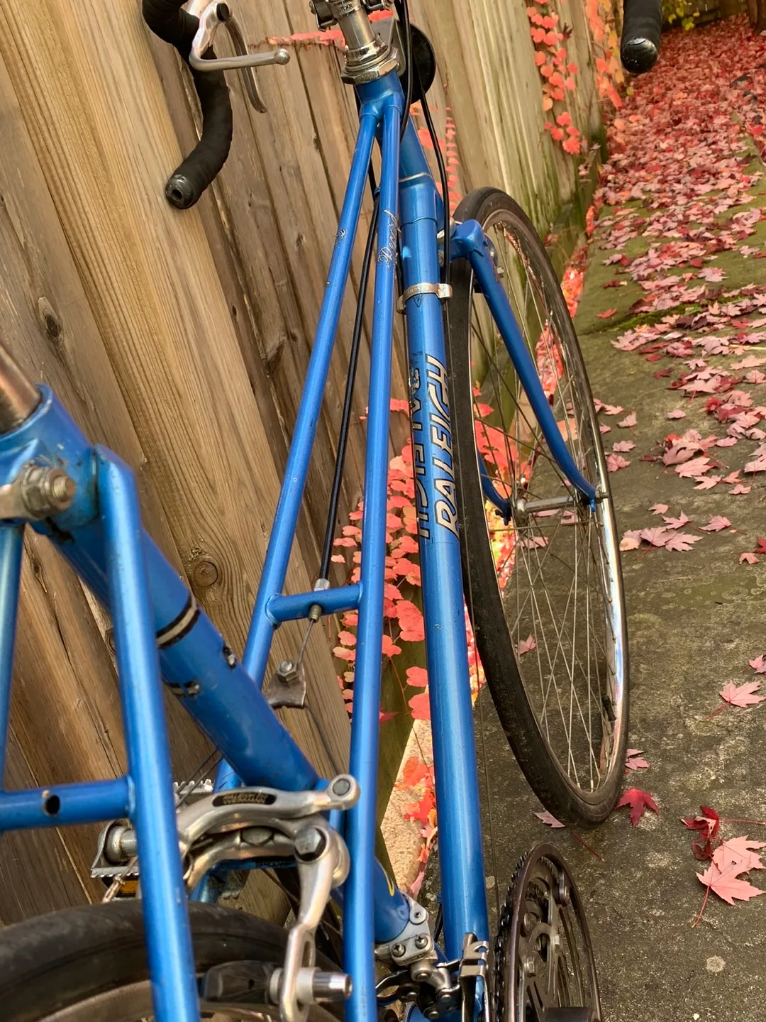 CLASSIC! Raleigh Racer Bike 12 speeds A1 Beautiful condition. image indicator(5)