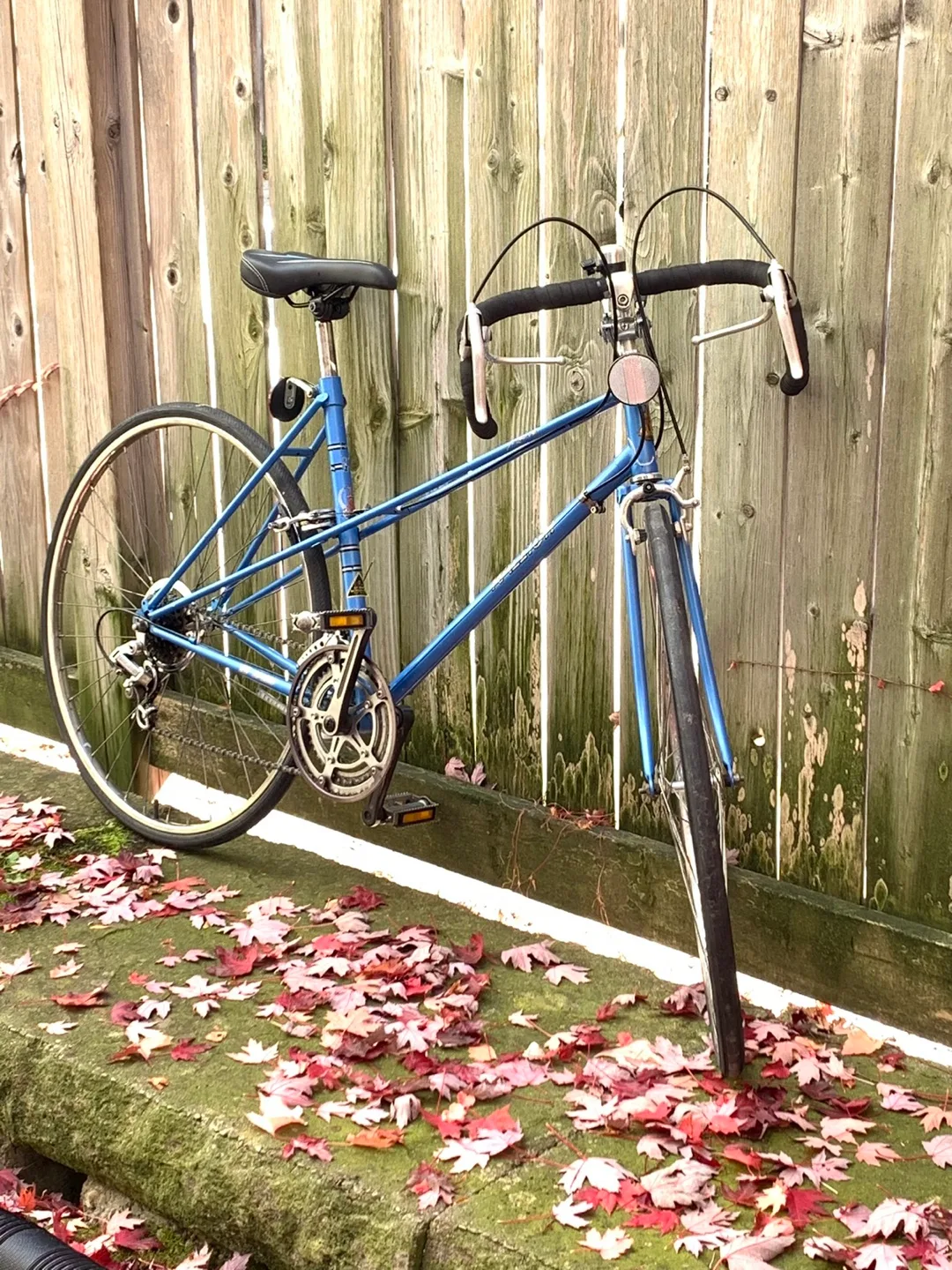 CLASSIC! Raleigh Racer Bike 12 speeds A1 Beautiful condition. image indicator(4)