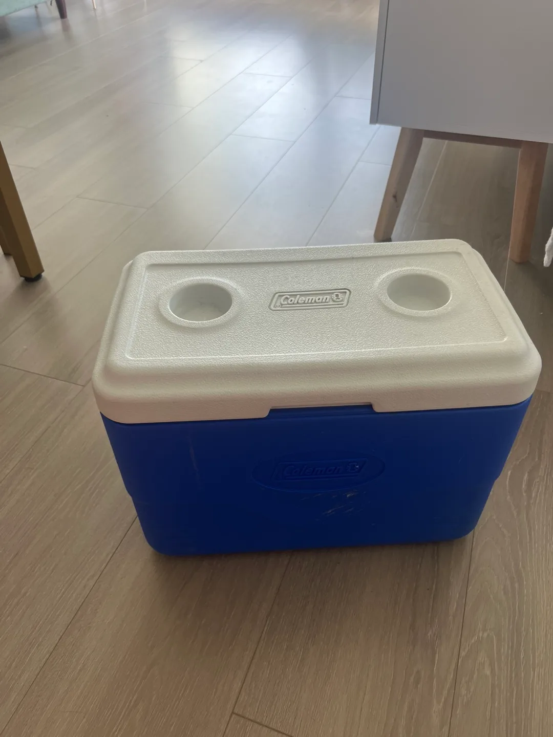 Coleman Cooler - Blue & White thumbnail
