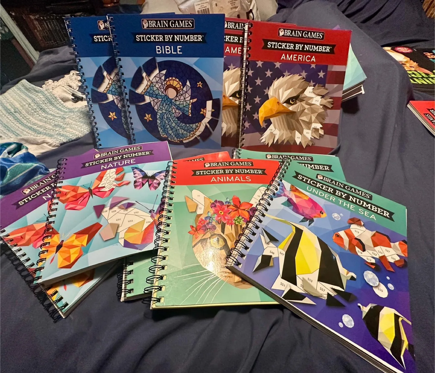 Brain Games Sticker by Number/Letter Books image indicator(4)