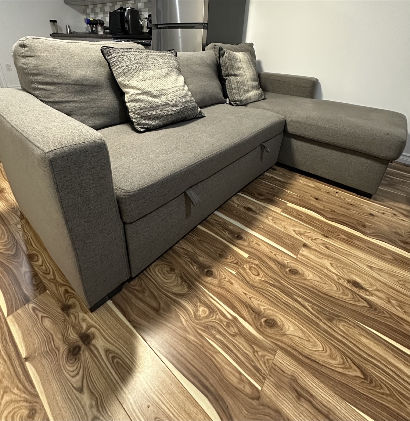 Grey Sectional Sofa with Pull-Out Bed