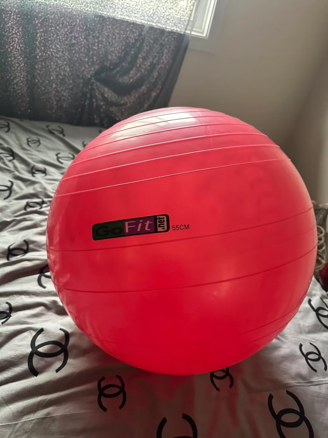 GoFit Exercise Ball - 55cm image indicator(2)