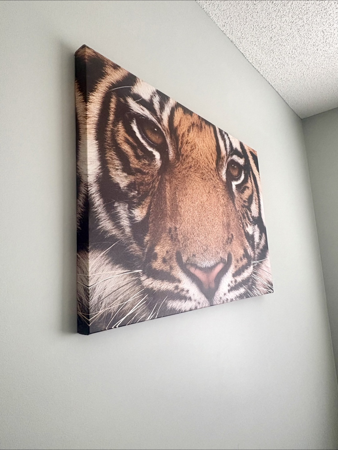 Wall frame - photo 3