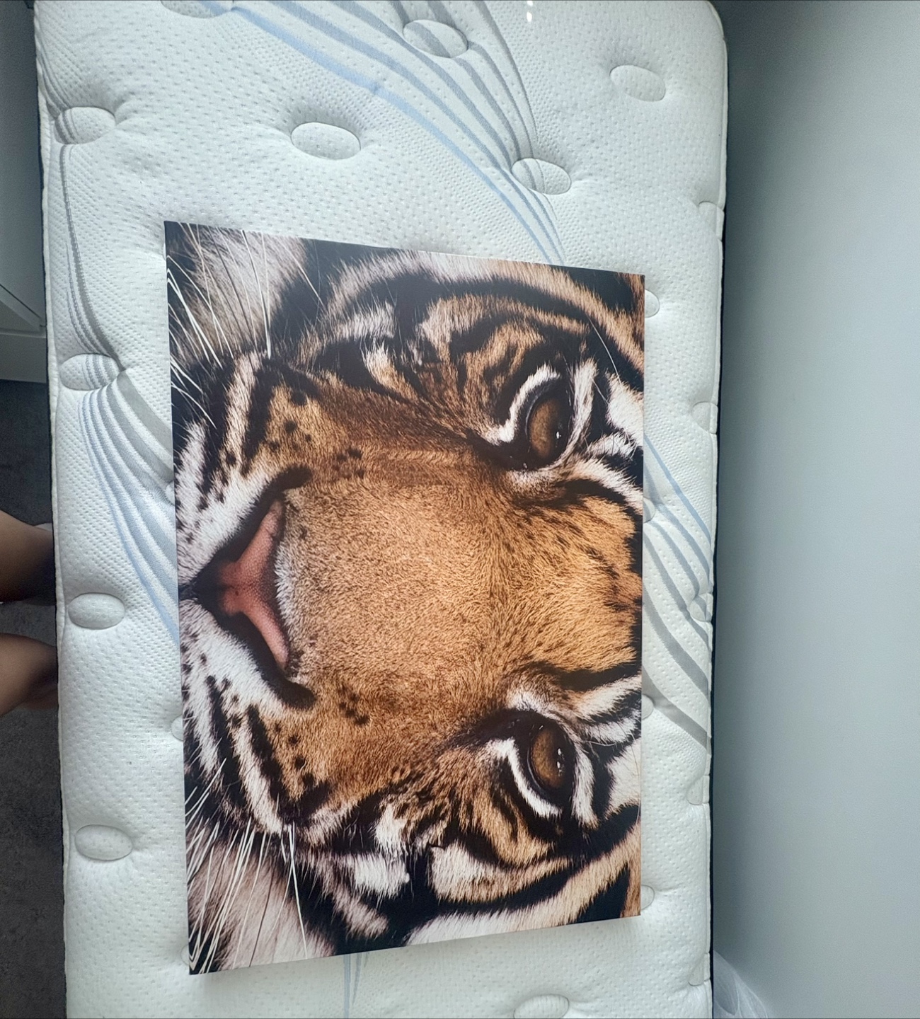 Wall frame - photo 4