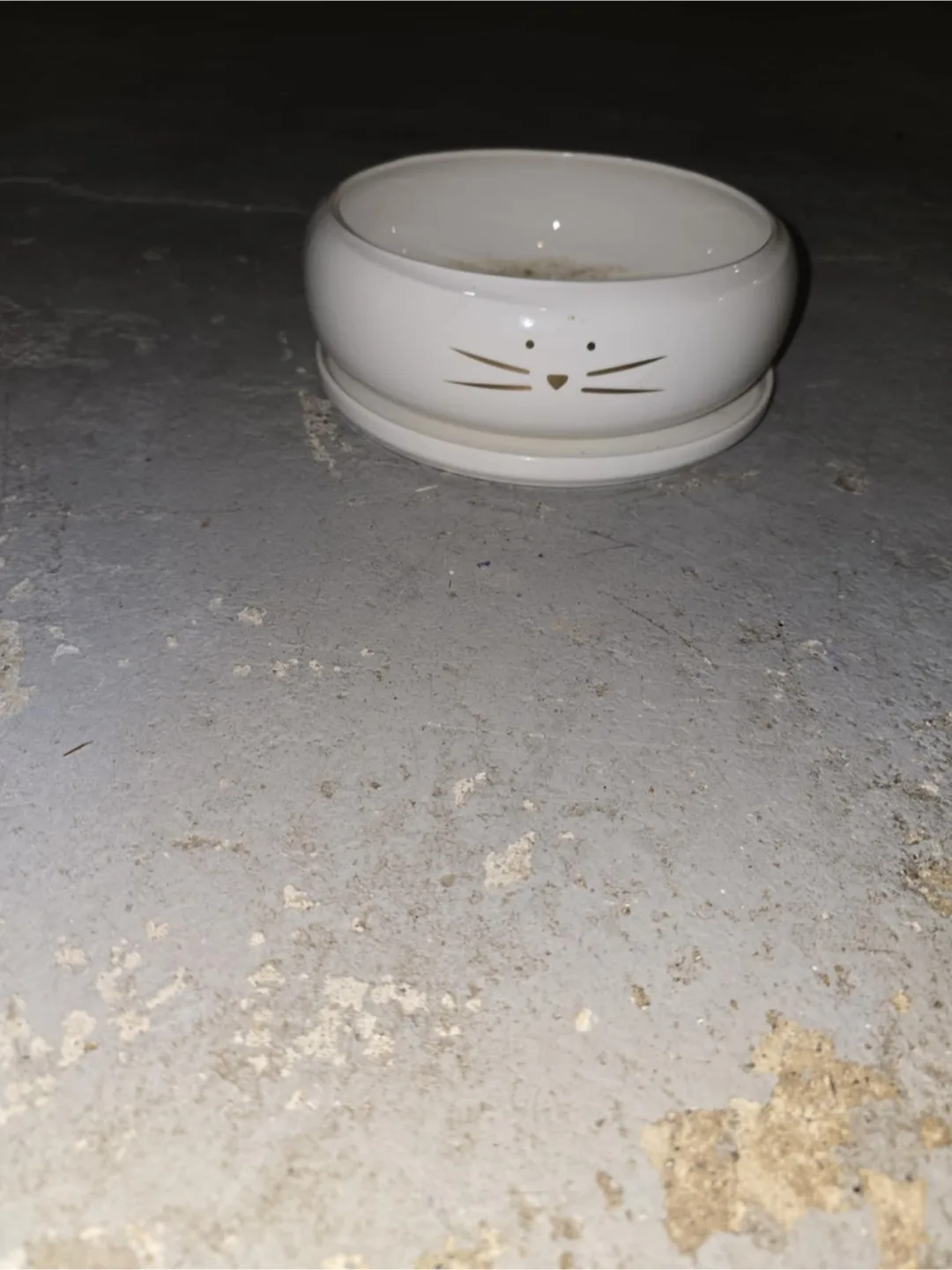 Cat Face Ceramic Pet Bowl thumbnail