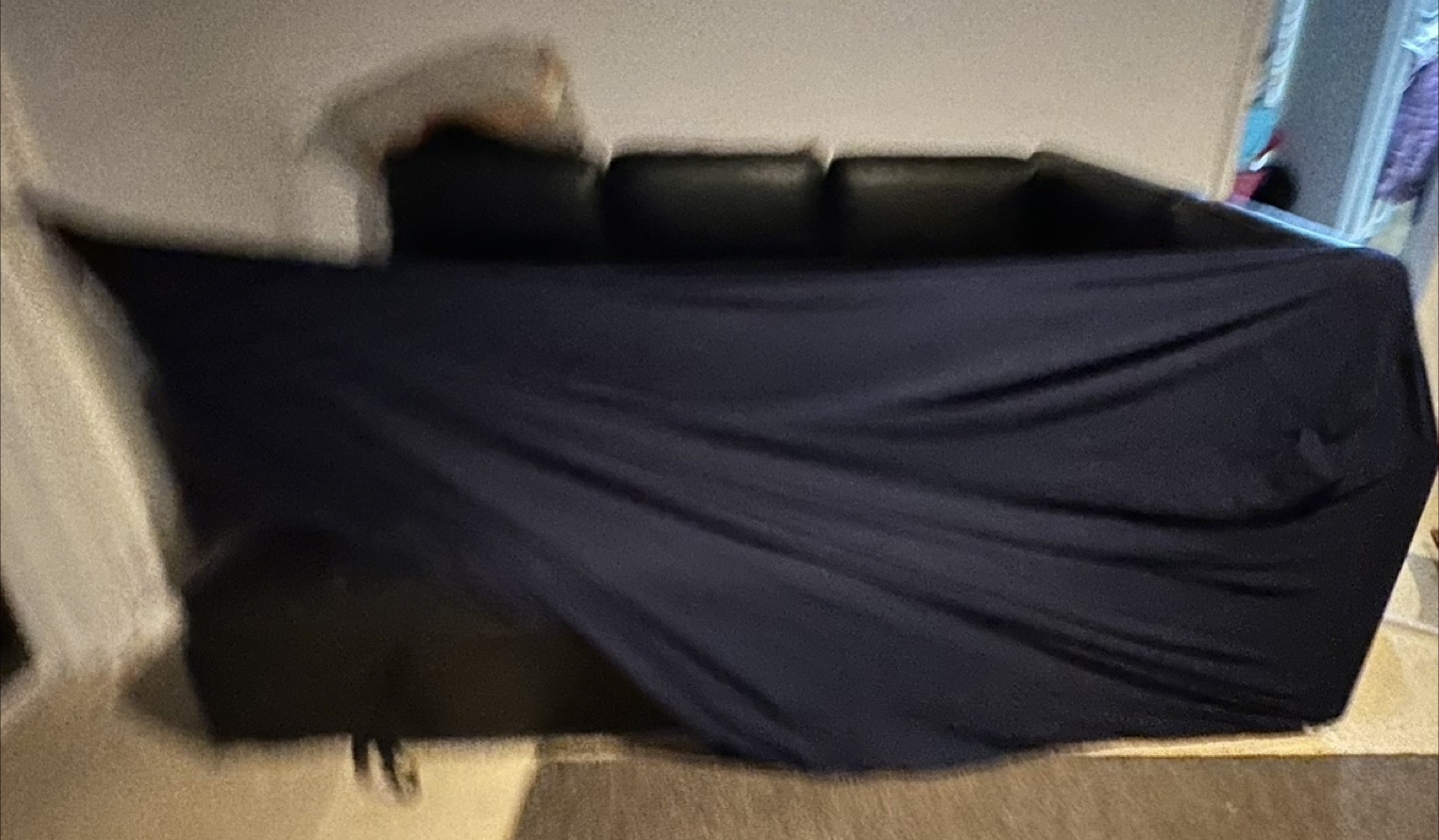 Couch Cover - qty 3 - photo 2