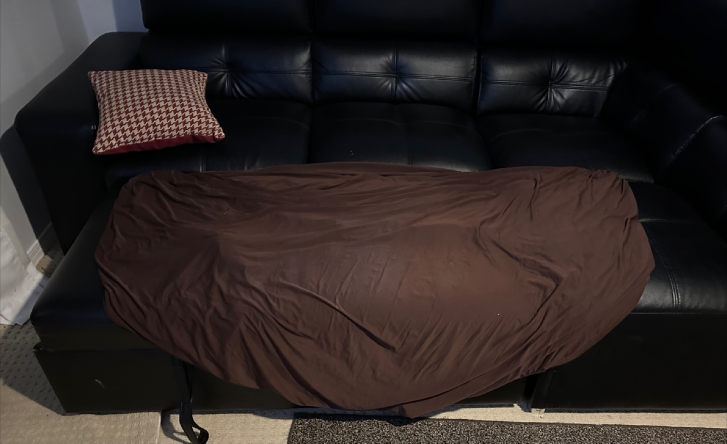 Couch Cover - qty 3