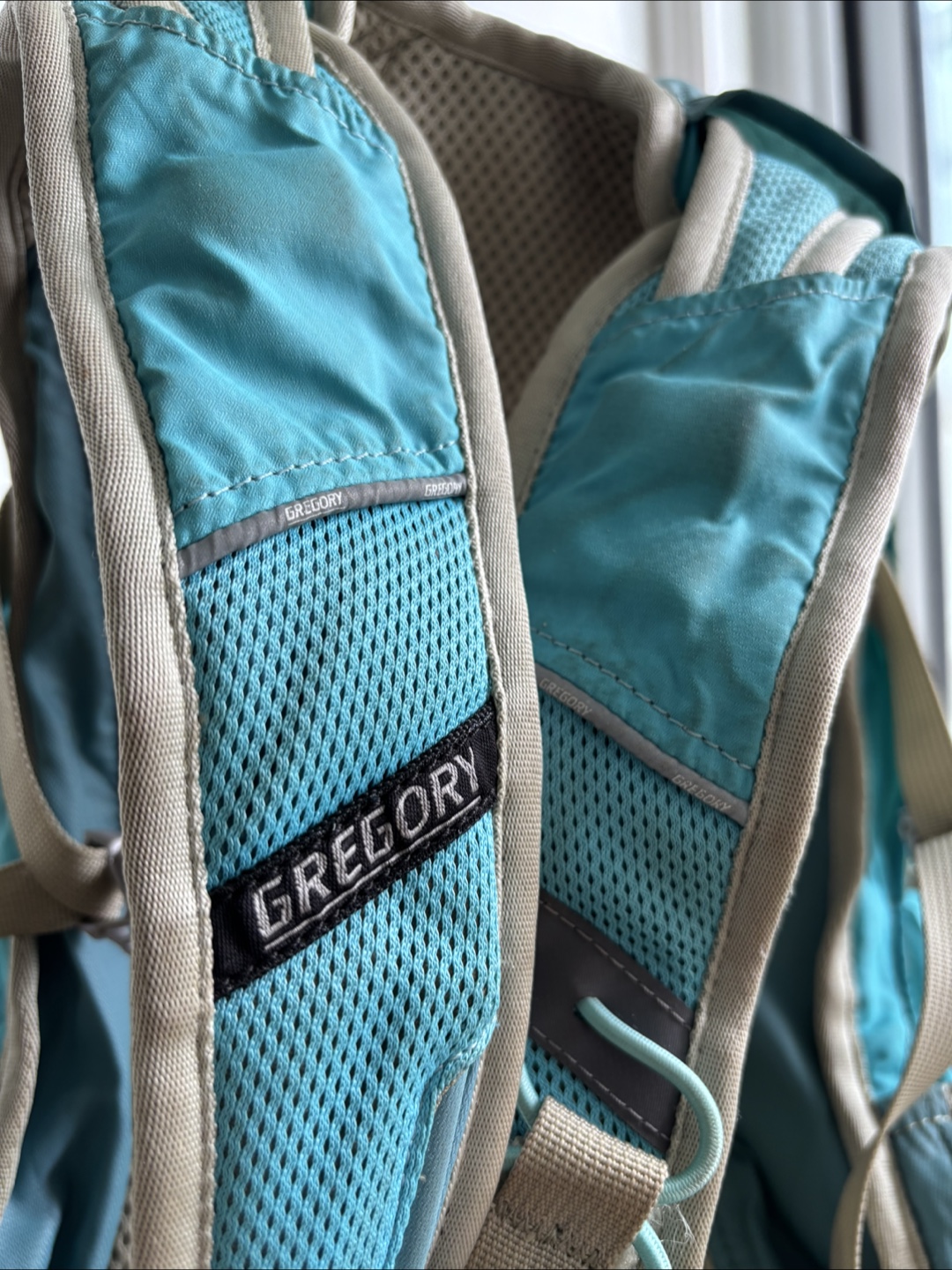Gregory Navarino 12 Daypack Women’s - Blue - photo 5