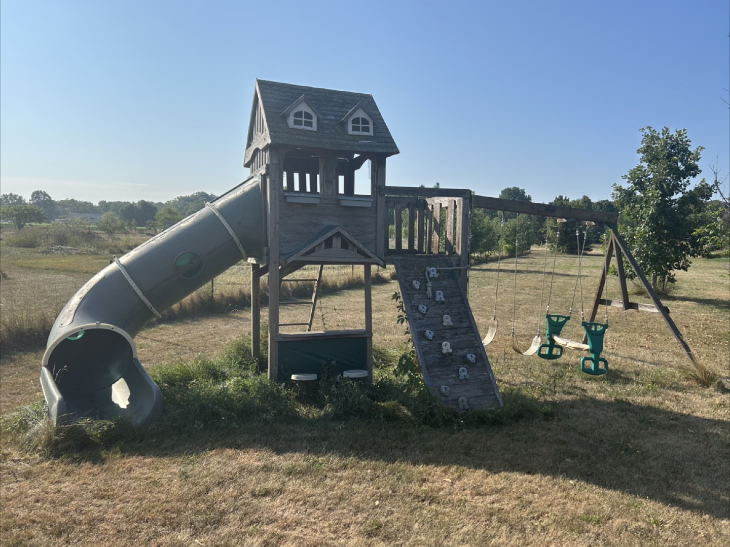 Kids Playset with Slide and Swings