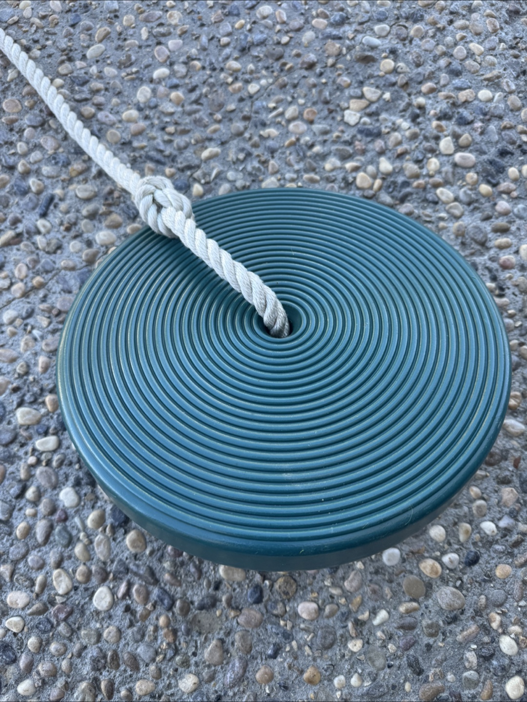 Green Disc Swing with Rope - photo 2