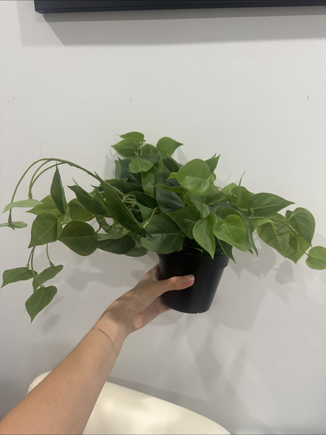 Artificial Plants - photo 3