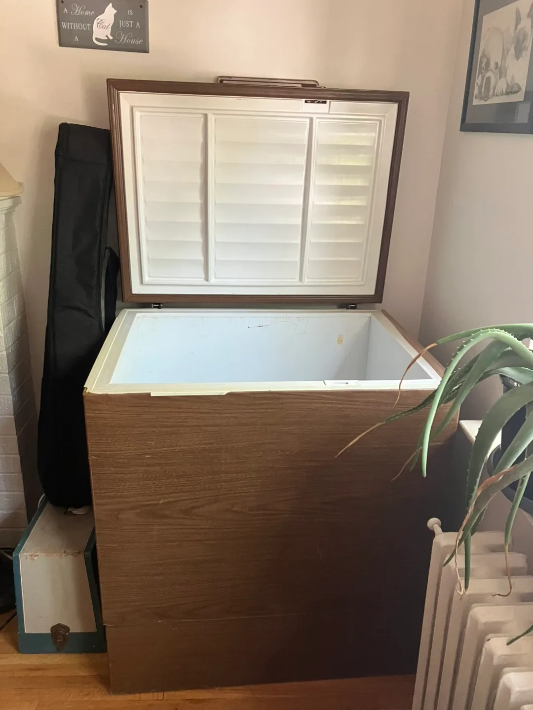 Freezer image indicator(2)