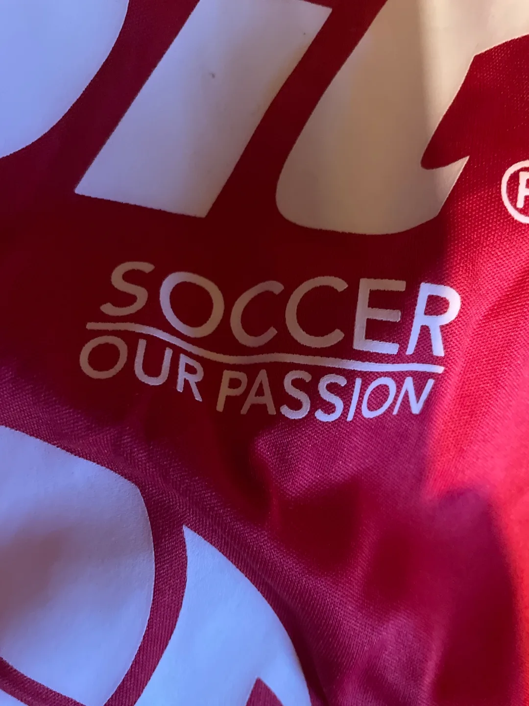 Voit Soccer Jersey and Shorts Set - Size L image indicator(3)