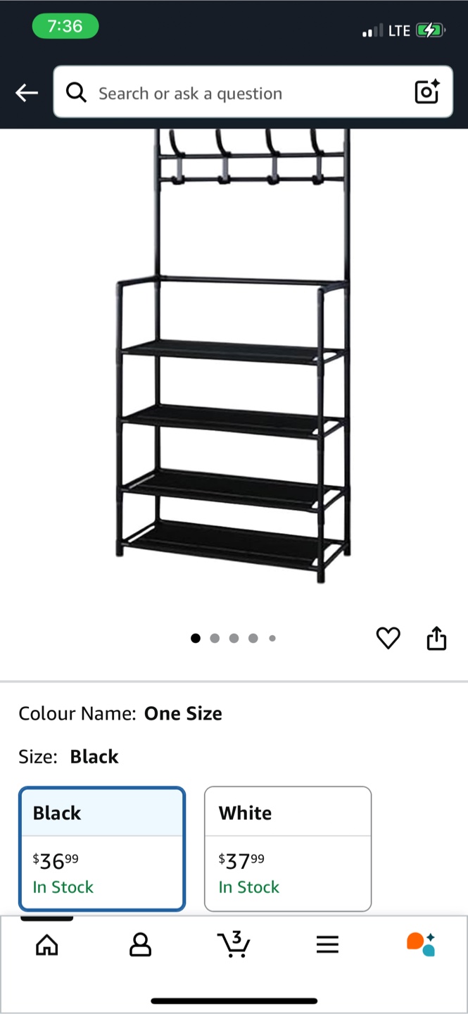 Black Metal Hall Tree with Shoe Rack