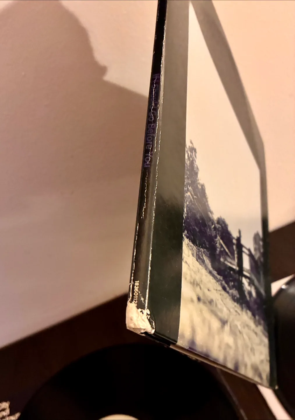 City and Colour Vinyl Records - Sometimes & If I Should Go image indicator(8)