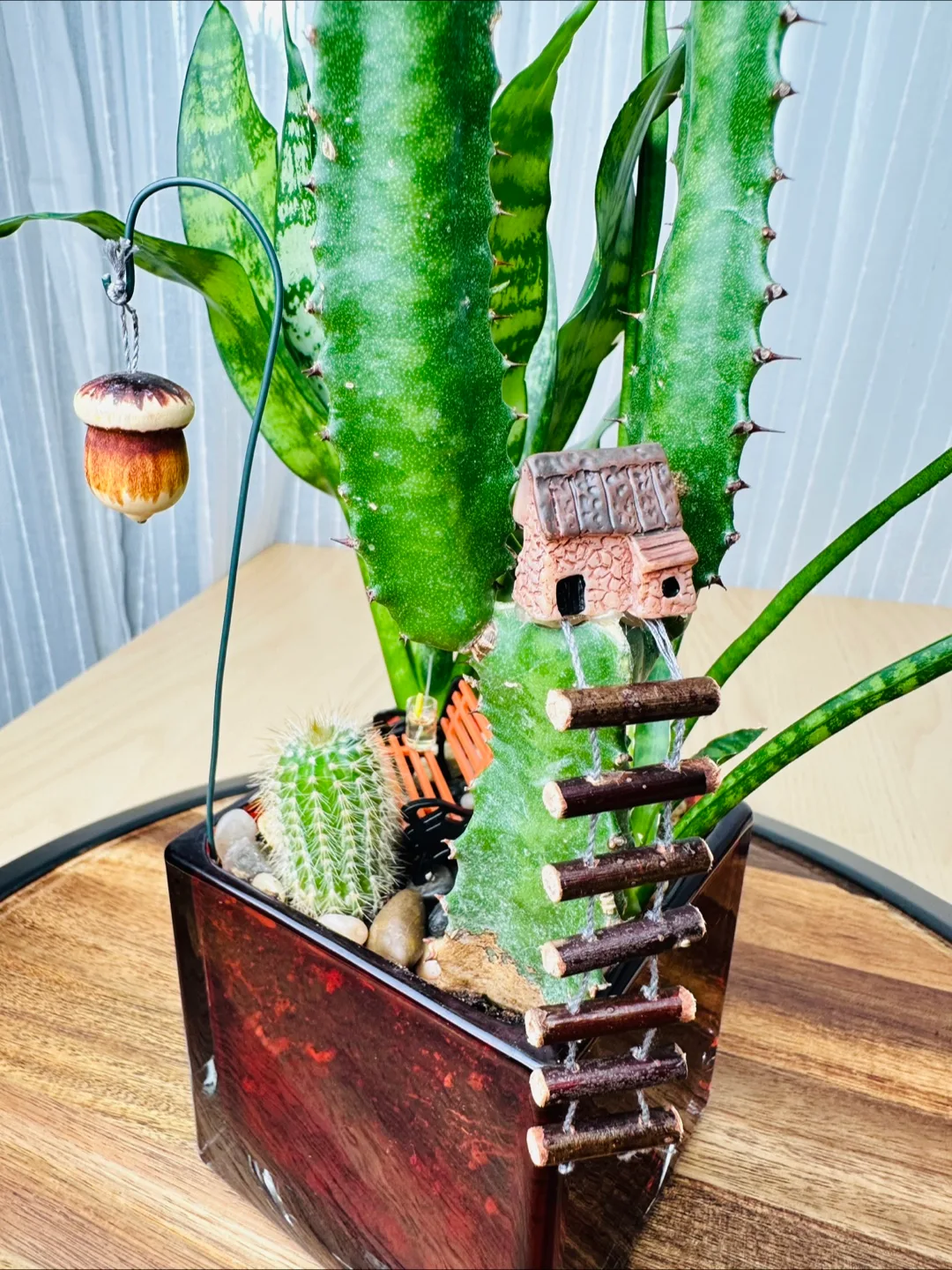 Miniature Garden with low maintenance plants image indicator(2)