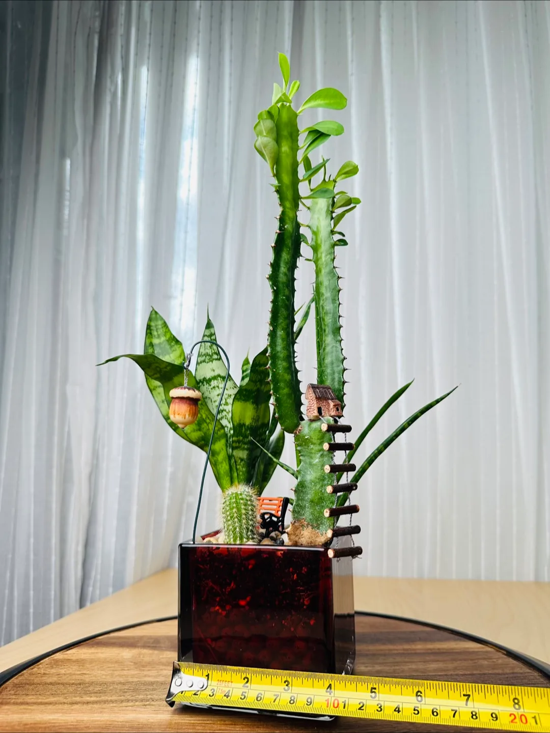 Miniature Garden with low maintenance plants image indicator(6)