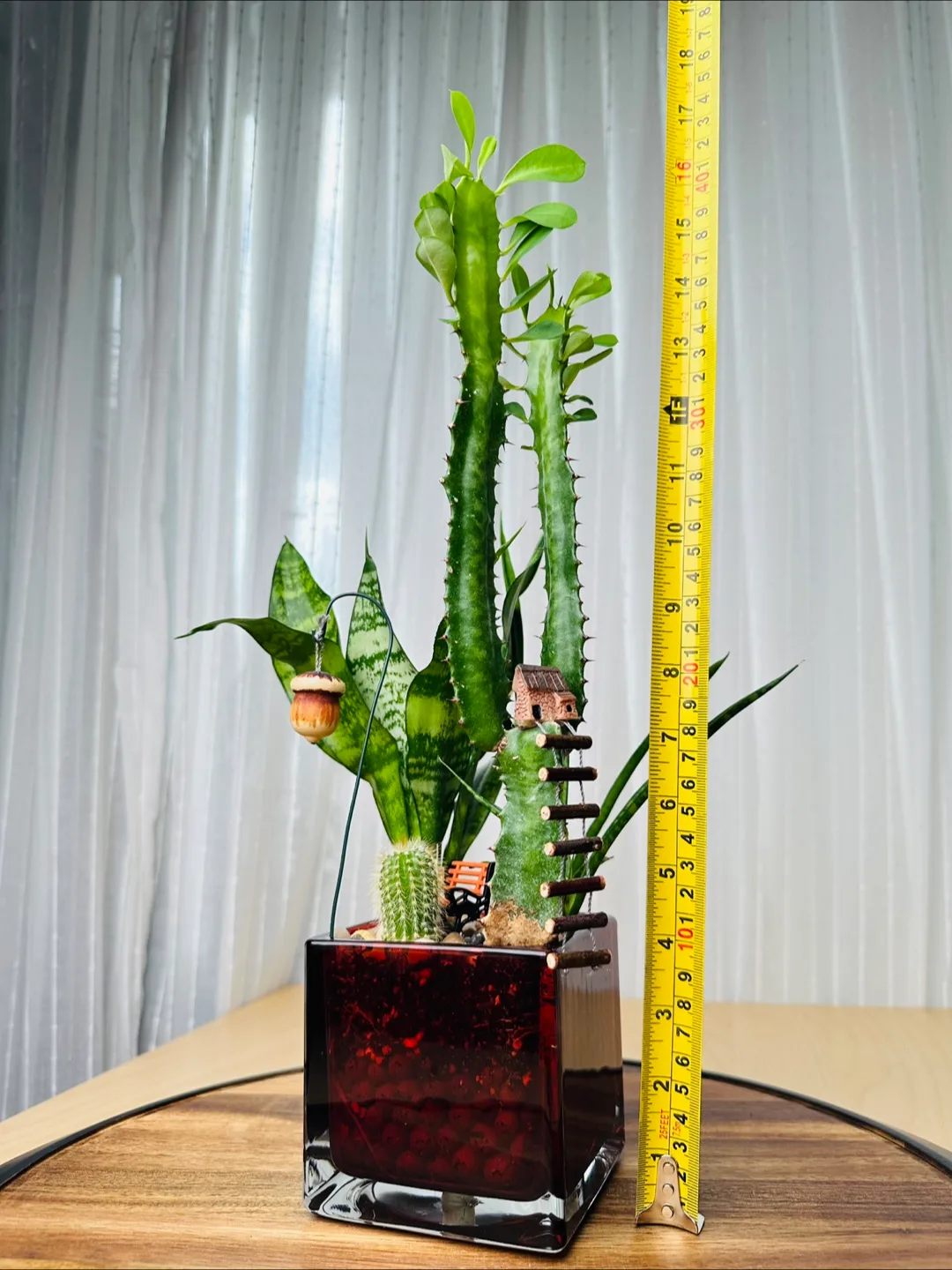 Miniature Garden with low maintenance plants image indicator(7)