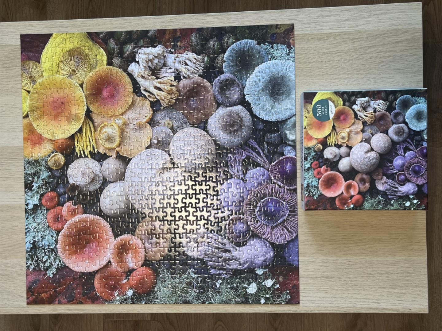 New 500 Piece Mushroom Puzzle