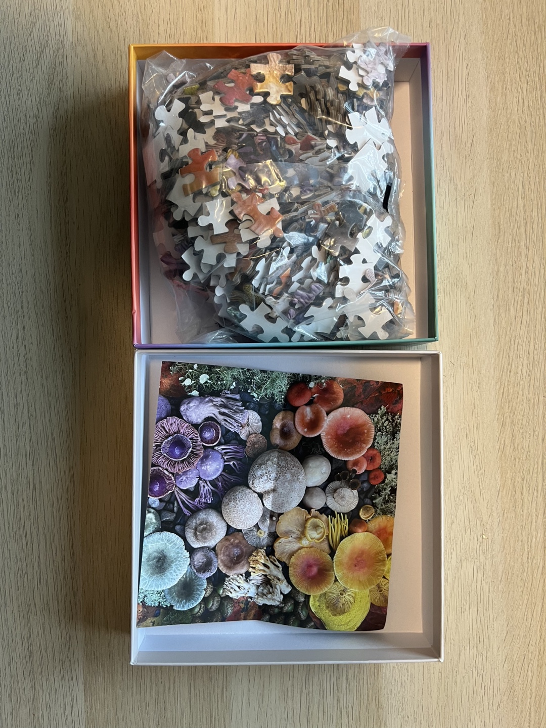 New 500 Piece Mushroom Puzzle - photo 2