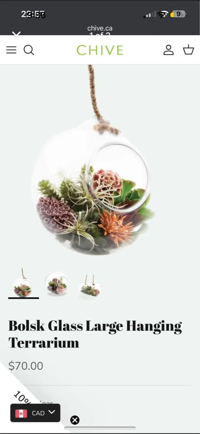 Bolsk Glass Large Hanging Terrarium thumbnail