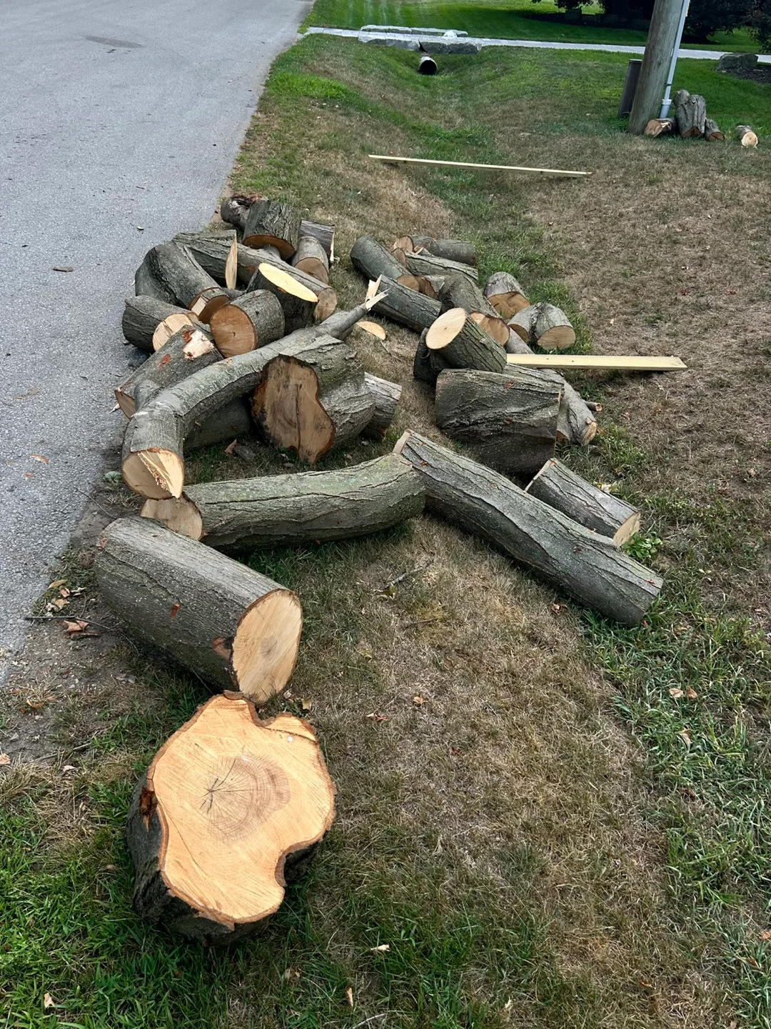 FREE WOOD
