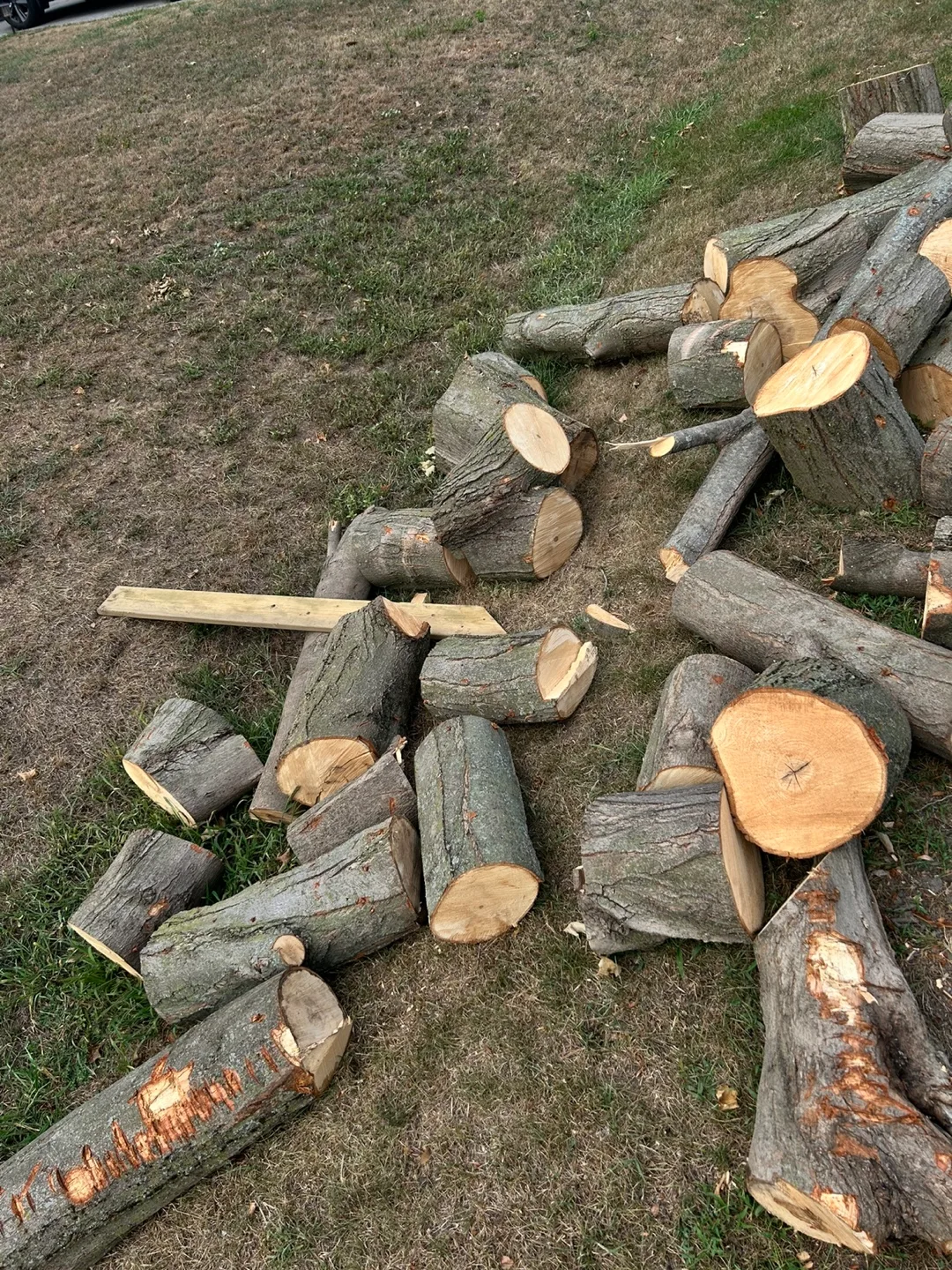 FREE WOOD image indicator(2)