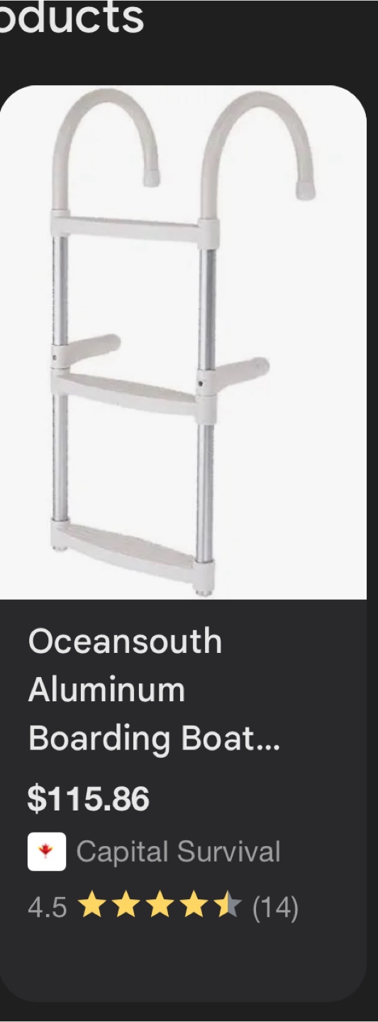NEW 3-Step Boarding Ladder - photo 4