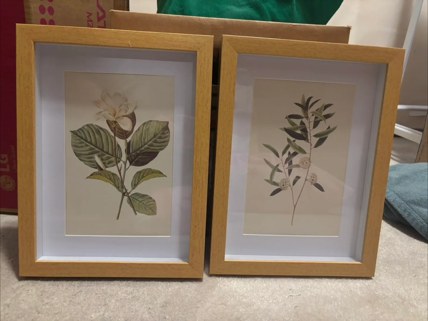 Botanical Framed Wall Art - Set of 2 thumbnail