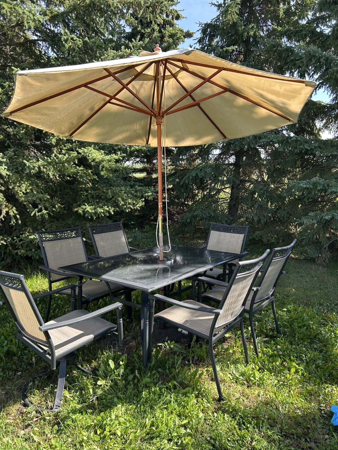 Patio Set with Umbrella, 6 Chairs