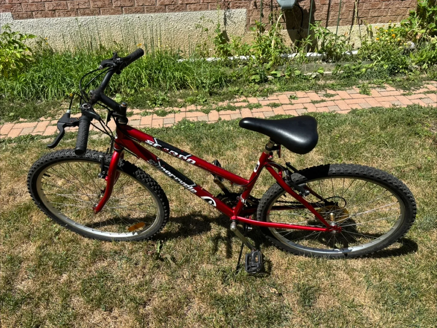 Supercycle Strata Mountain Bike - Red image indicator(3)