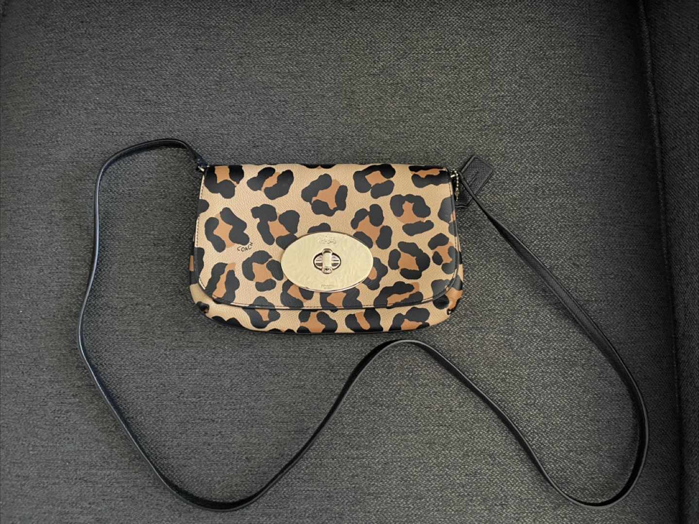 Coach Crossbody Bag
