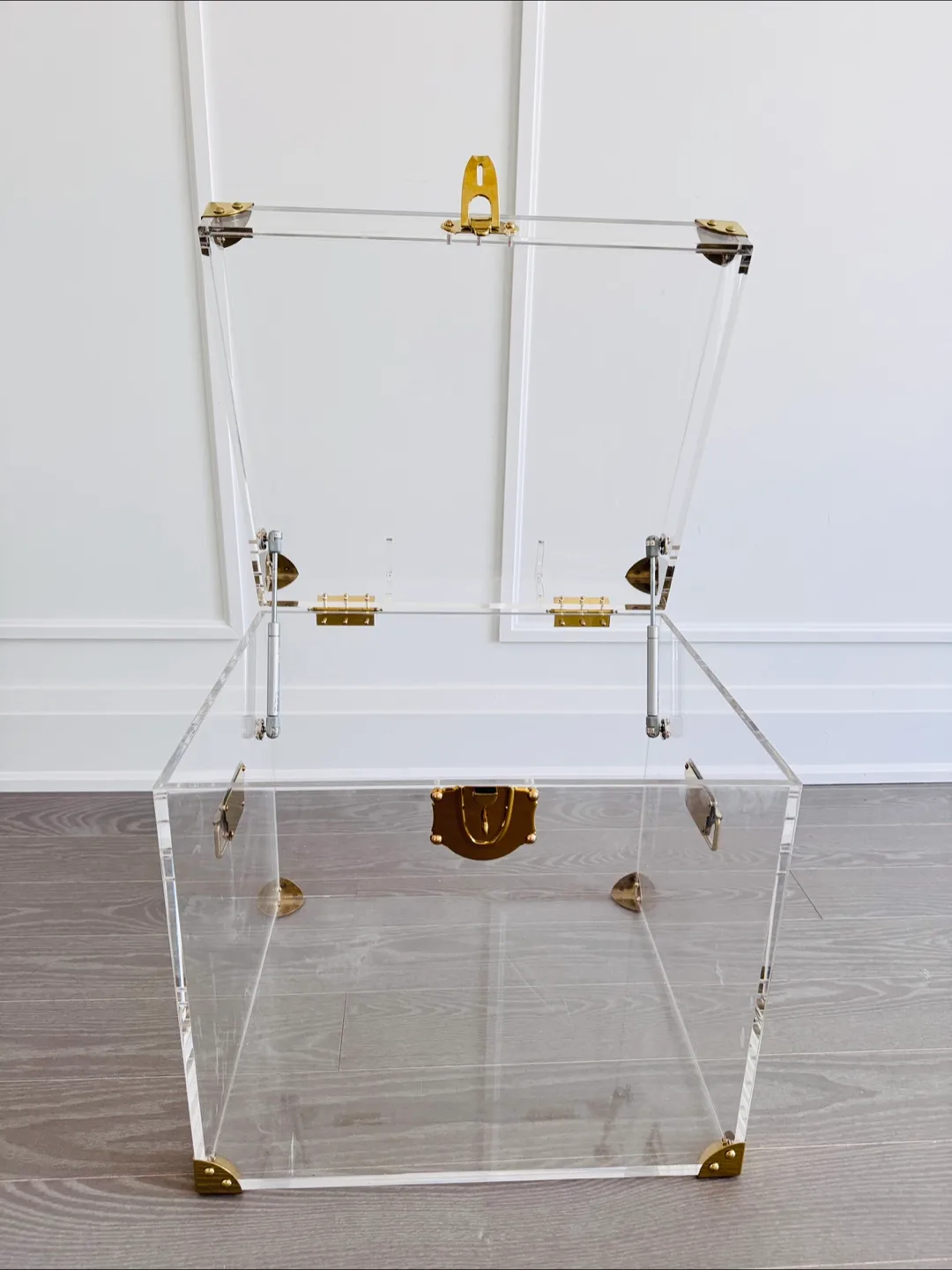 Acrylic Trunk with Gold Hardware image indicator(2)