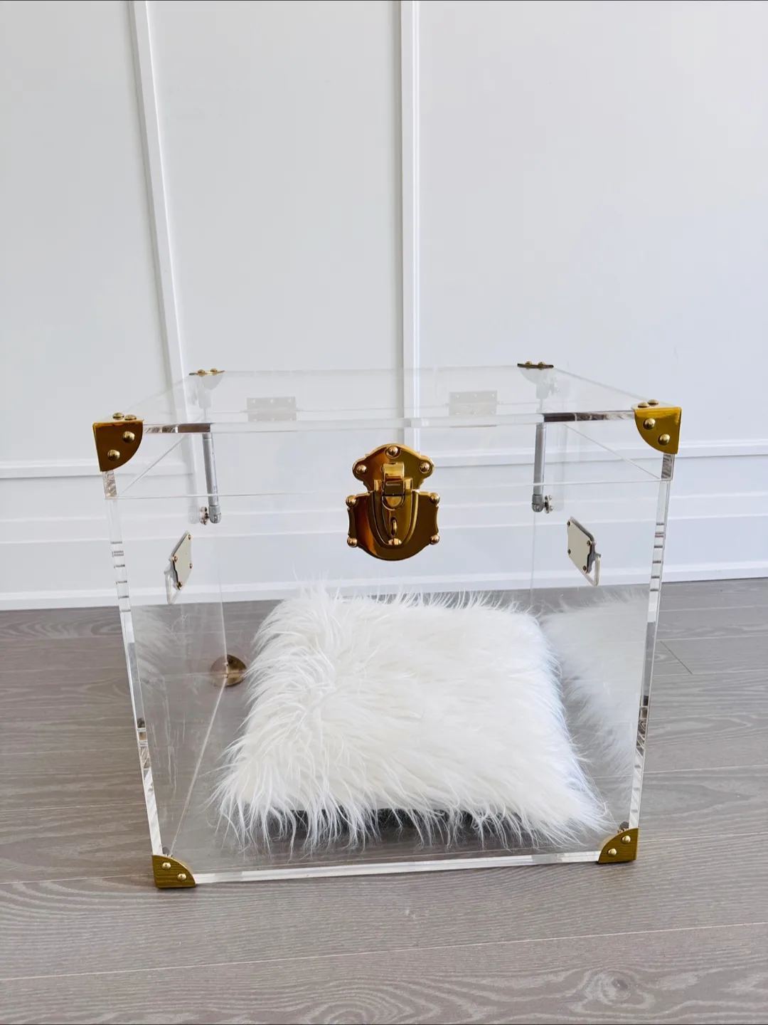Acrylic Trunk with Gold Hardware image indicator(4)