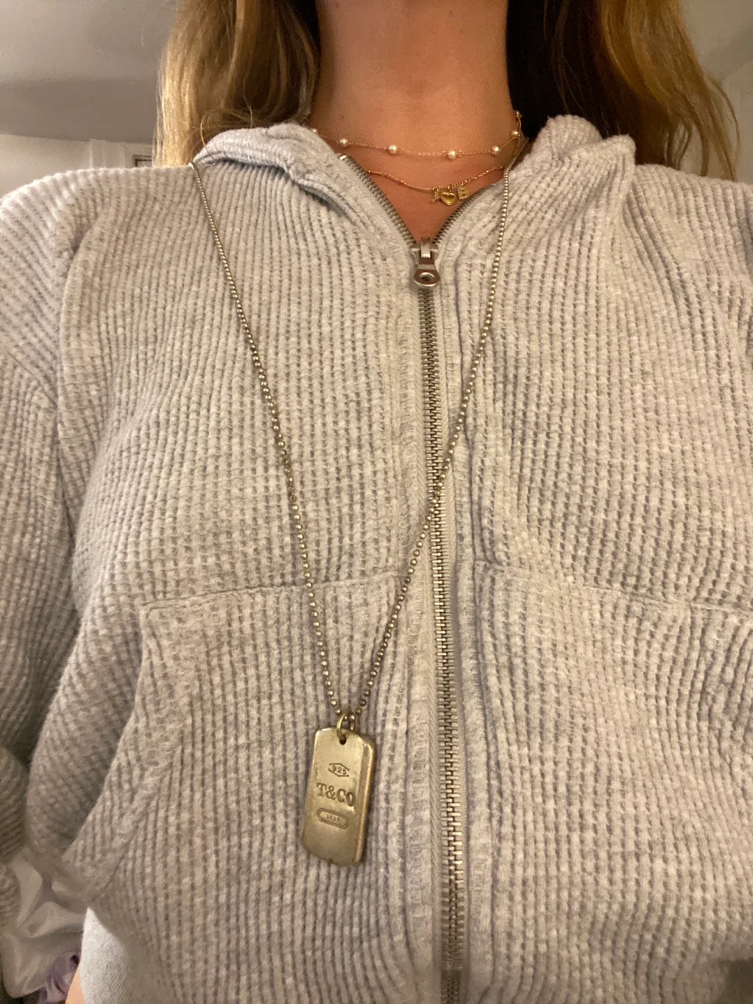 Tiffany & Co. Sterling Silver Dog Tag Necklace image indicator(4)