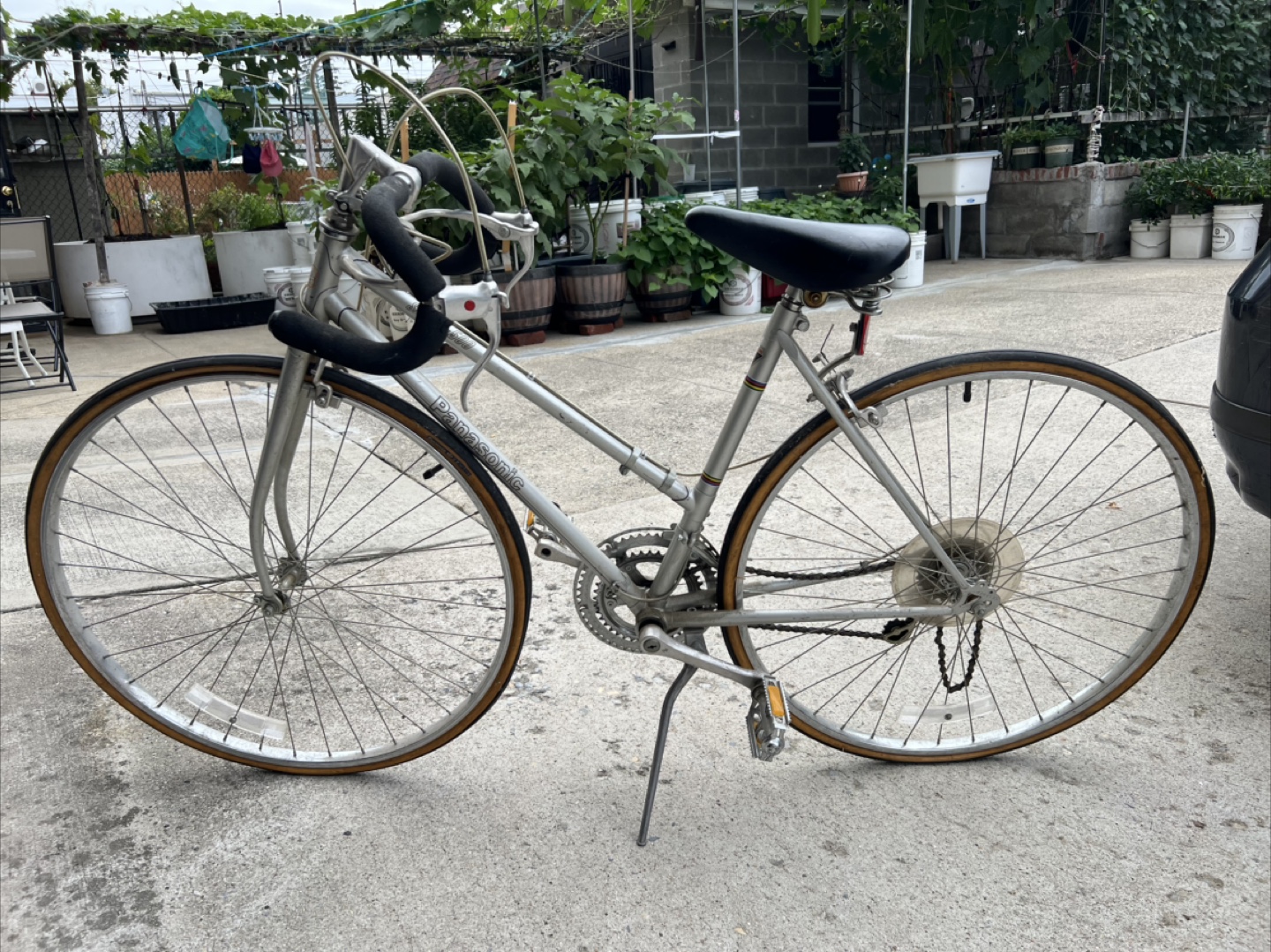 Panasonic 10-Speed Bike