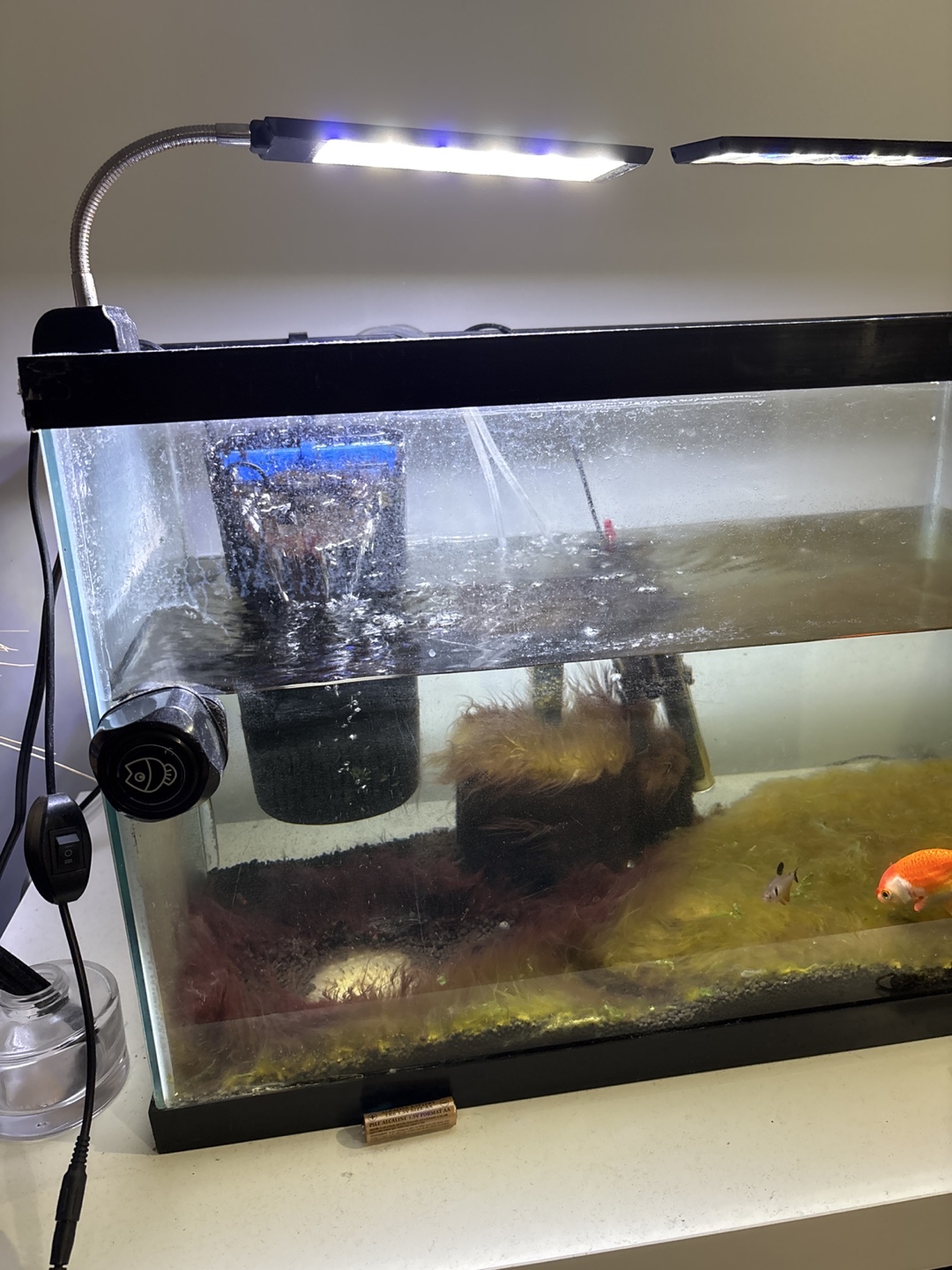 Fish tank - photo 2