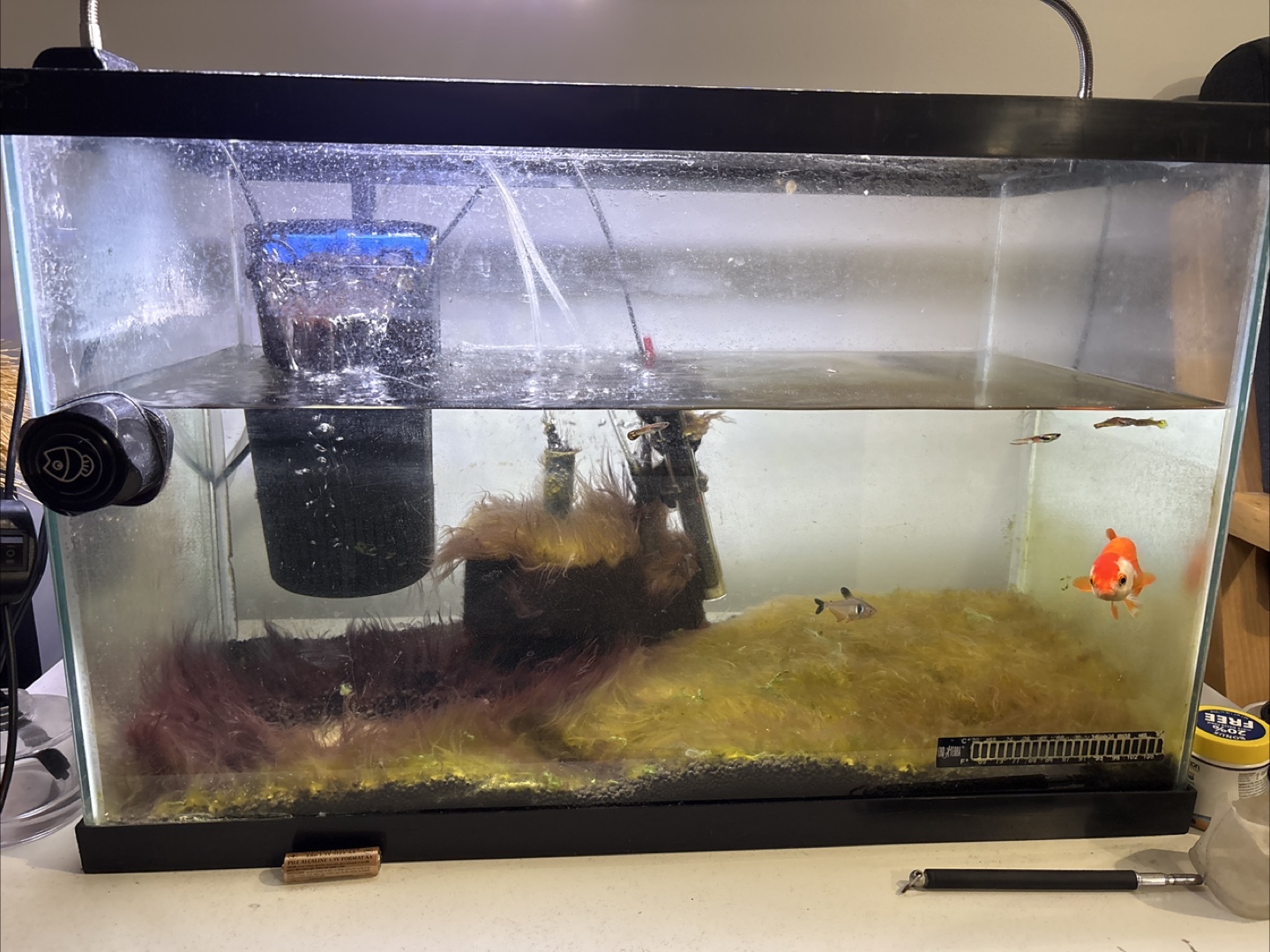 Fish tank