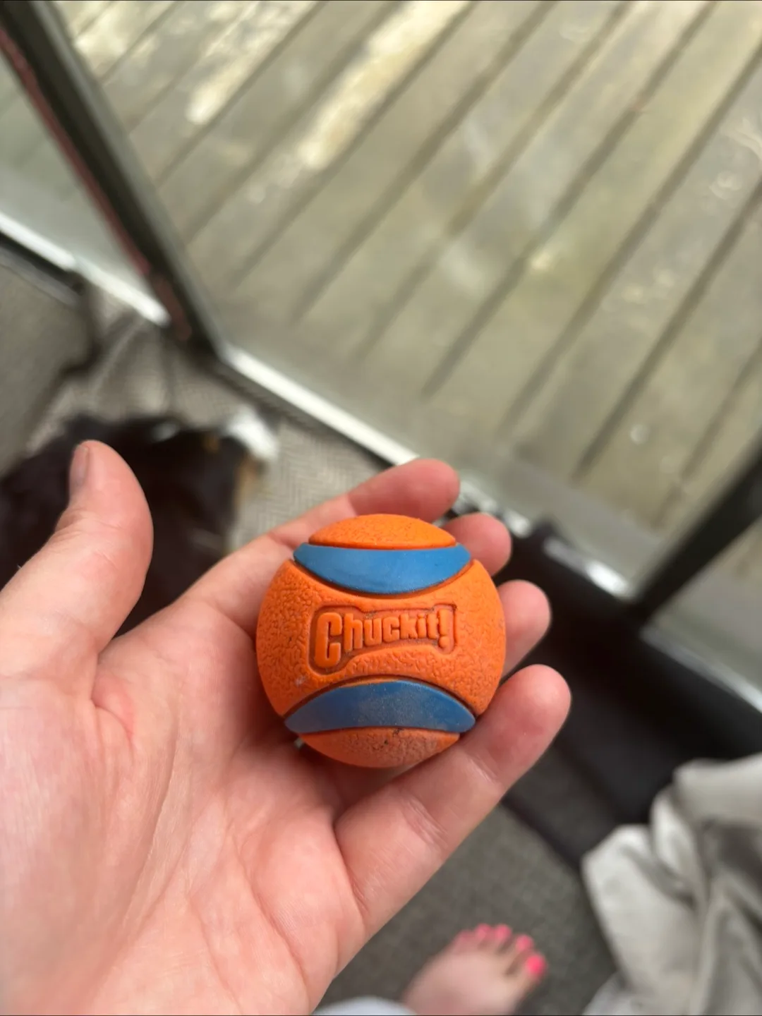 Chuckit! Orange & Blue Dog Ball image indicator(2)