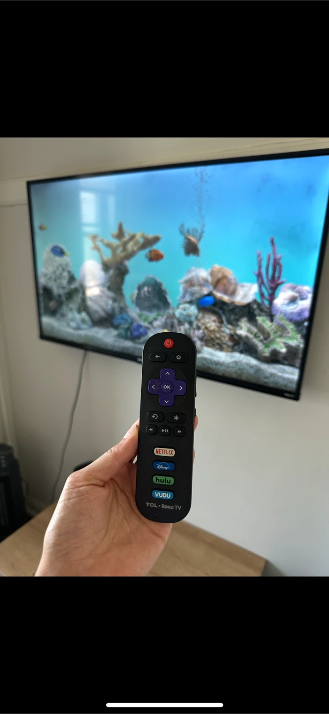 43" 4K Roku Smart TV - photo 4