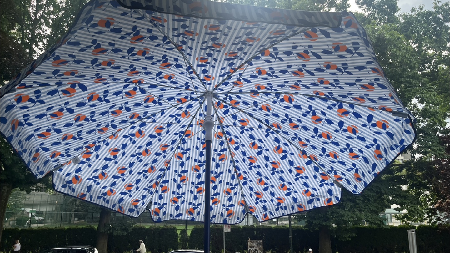Indigo Outdoor Umbrella and Walmart Folding Camping Chairs - photo 4