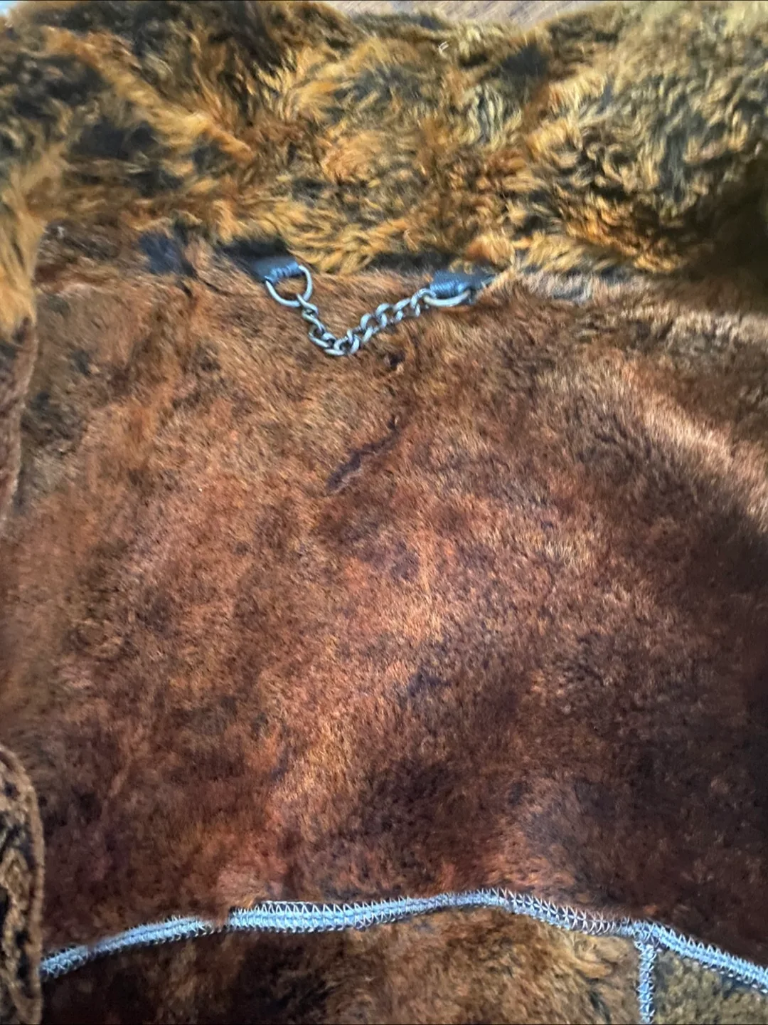 Blue Suede Shearling Coat “ Wolff of Canada” Small image indicator(3)