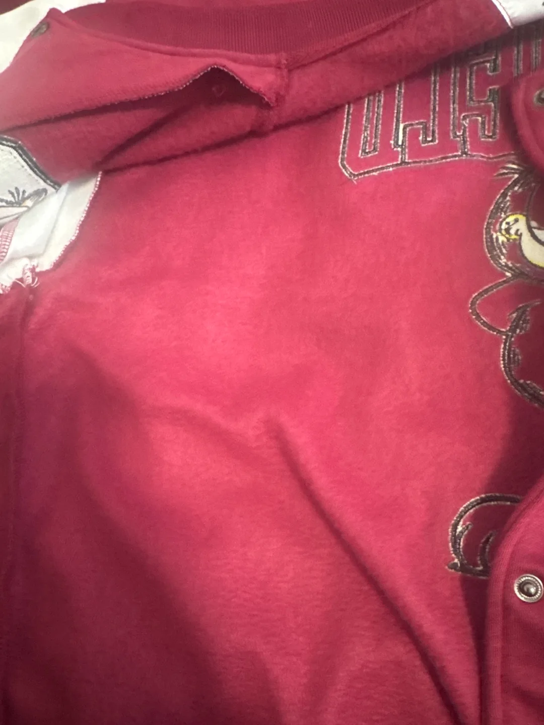 Garfield Varsity Jacket - Size L/G image indicator(3)